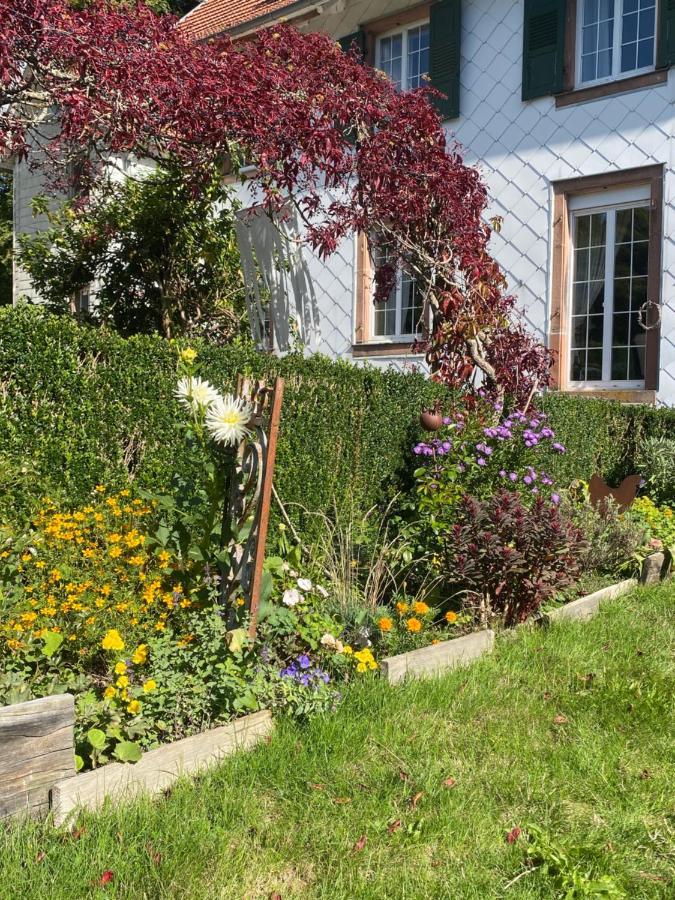 La Vieille Eglise Bed & Breakfast Le Hohwald Ngoại thất bức ảnh