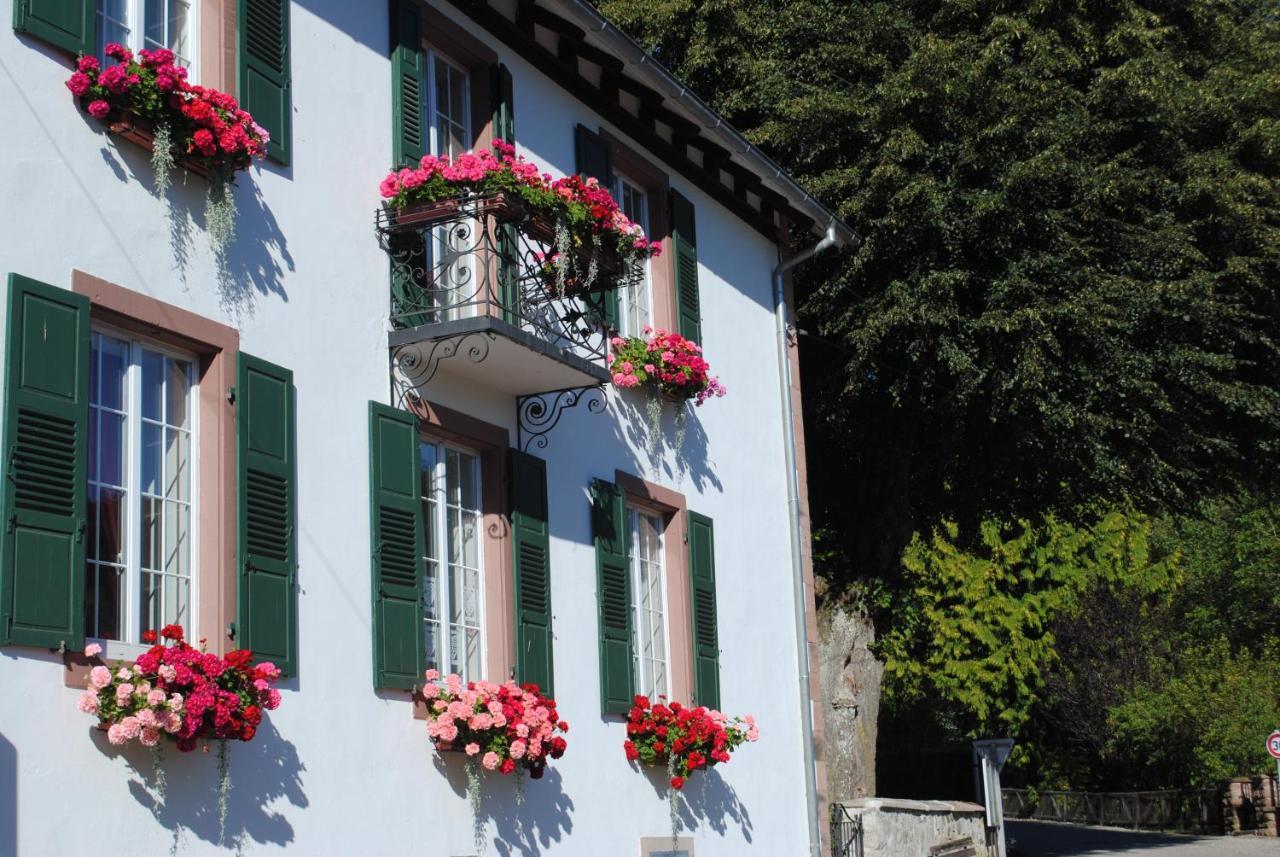 La Vieille Eglise Bed & Breakfast Le Hohwald Ngoại thất bức ảnh